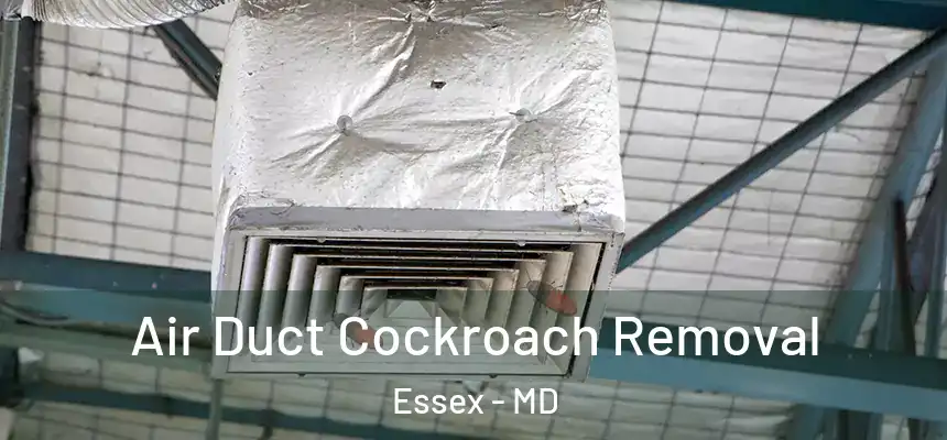  Air Duct Cockroach Removal Essex - MD