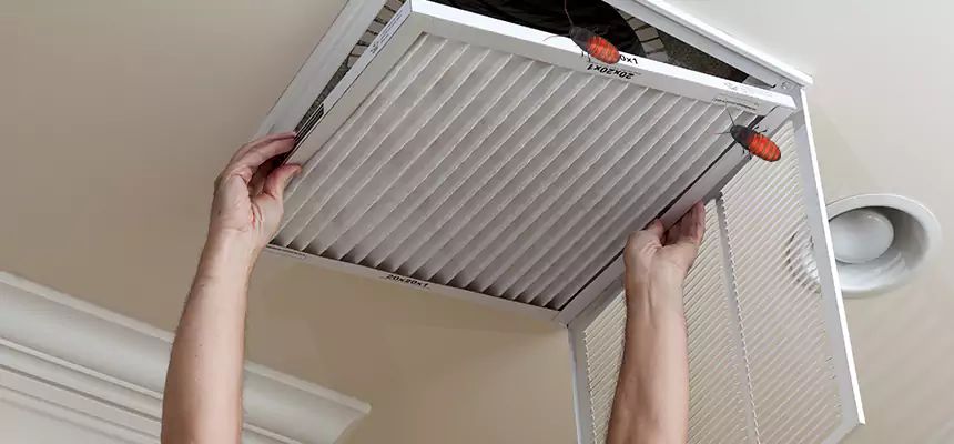 Preventive Cockroach-Proofing for Ducts in Essex