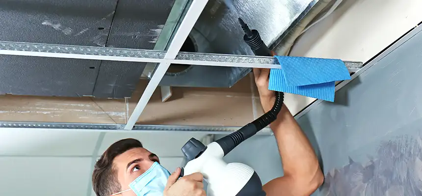 Our Air Duct Rodent Removal Services in Essex, MD