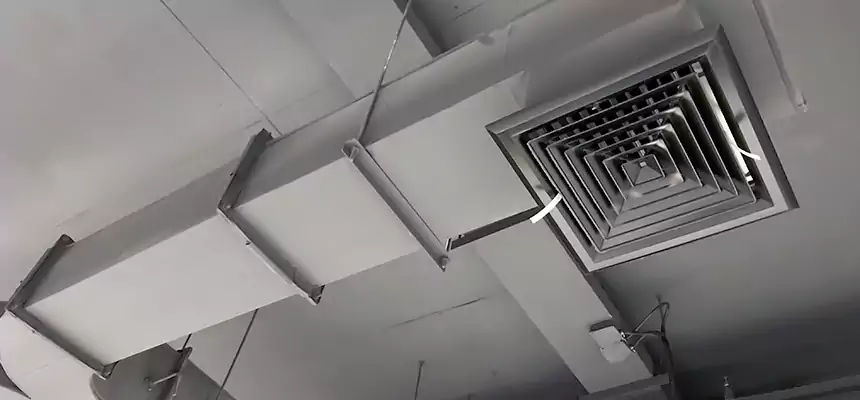 Restorative Allergy Relief Vent Cleaning – Coil, Blower & Housing Detail in Essex