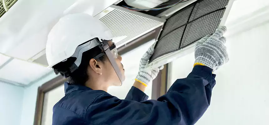 Our Mold & Mildew Removal from Air Ducts Services in Essex, MD