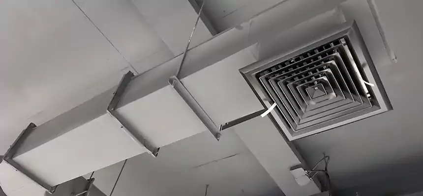 Our Pest Removal From Ducts Services in Essex, MD