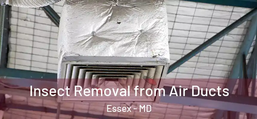Insect Removal from Air Ducts Essex - MD