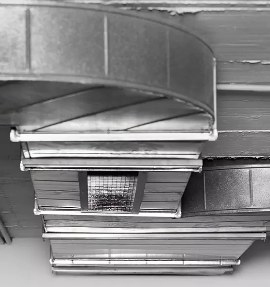 Professional Air Duct Pest Removal in Essex, MD