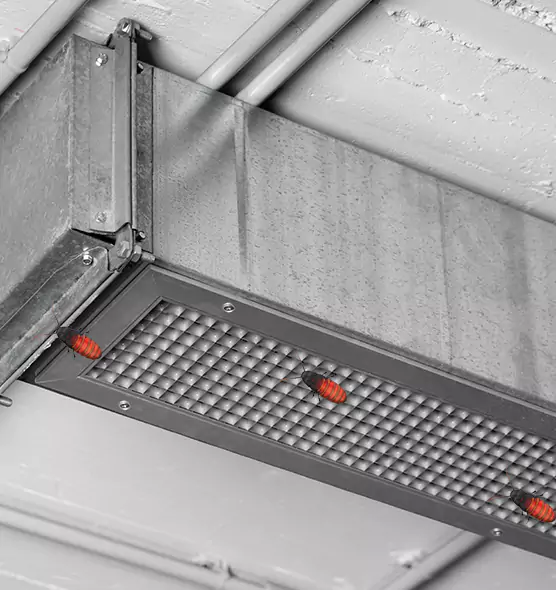 Affordable Insect Removal from Air Ducts in Essex, MD