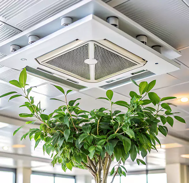 Why Homeowners & Businesses Trust Us in Essex, MD