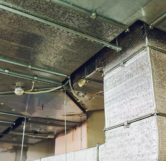 Why Homeowners & Businesses Trust Us in Essex, MD?